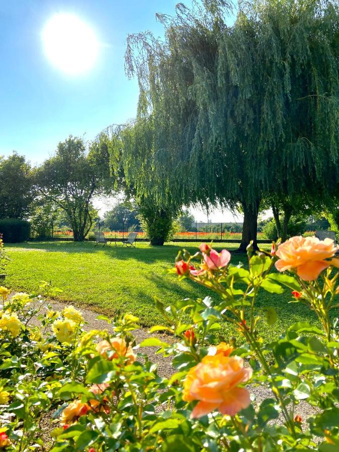 Hotel L'Oree Des Vignes Gilly-lès-Cîteaux Dış mekan fotoğraf