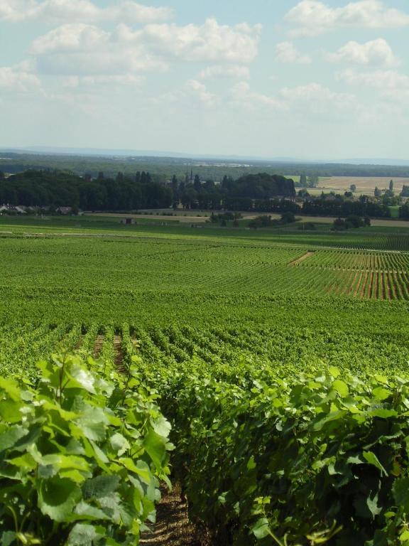Hotel L'Oree Des Vignes Gilly-lès-Cîteaux Dış mekan fotoğraf